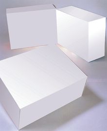 Custom Plastic Blister Styrene Packaging Digital CAD Sample Cutting Plotter